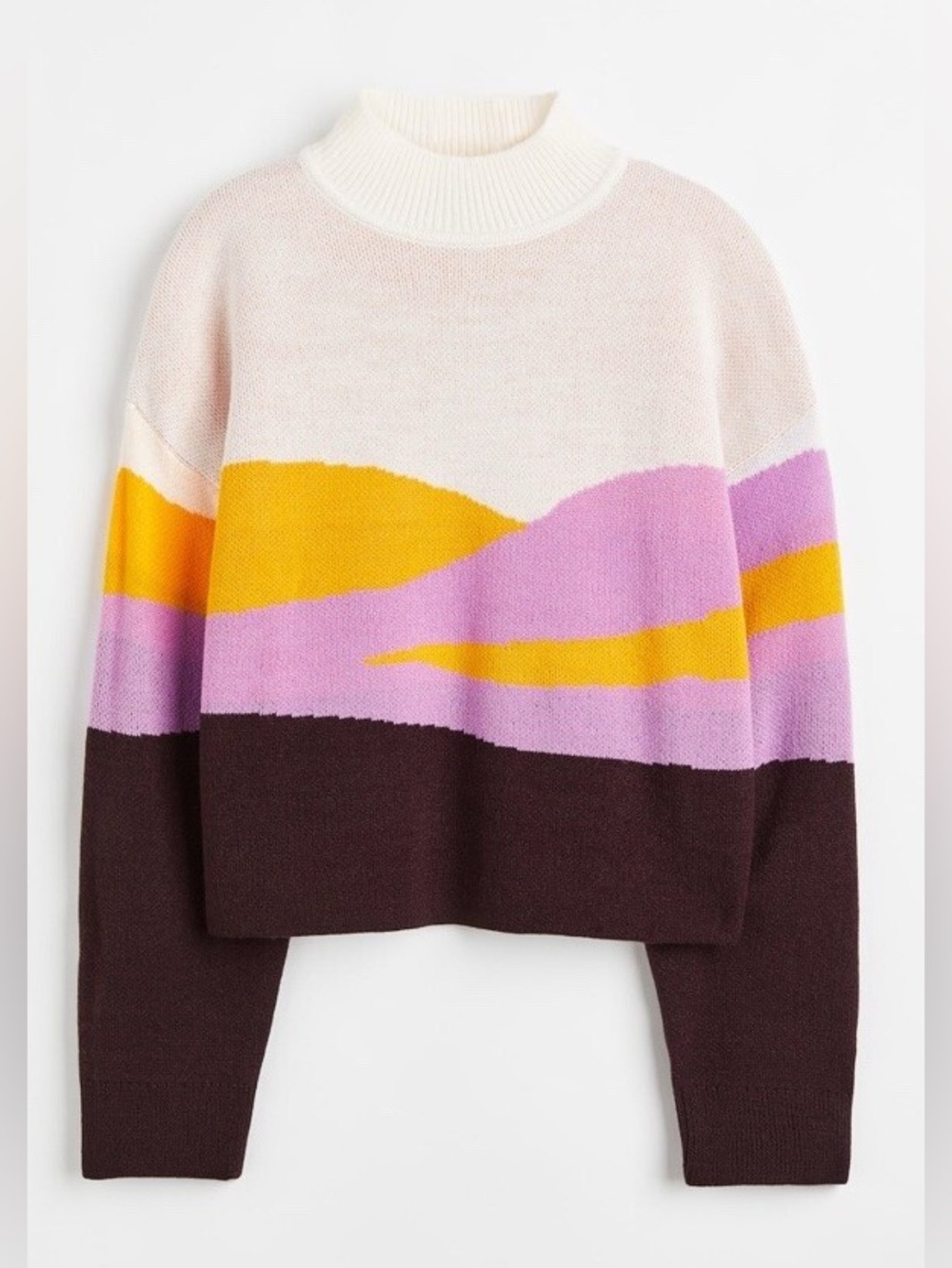 H&M Turtleneck Crop Abstract Horizon Sweater